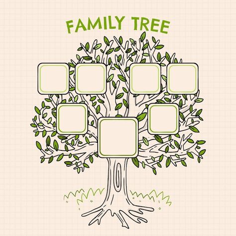 Family Tree Icon, Family Crafts Preschool, Family Tree Craft, Family Tree Designs, History Infographic, Pedigree Chart, Tree Collage, Tree Diagram, Family Tree Project