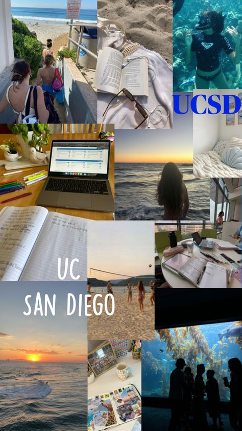 #ucsd UC San Diego inspiration #trending #love University Of California San Diego, Uc San Diego, School Choice, College Board, Life Plan, Grad School, Future Life, University Of California, College Life