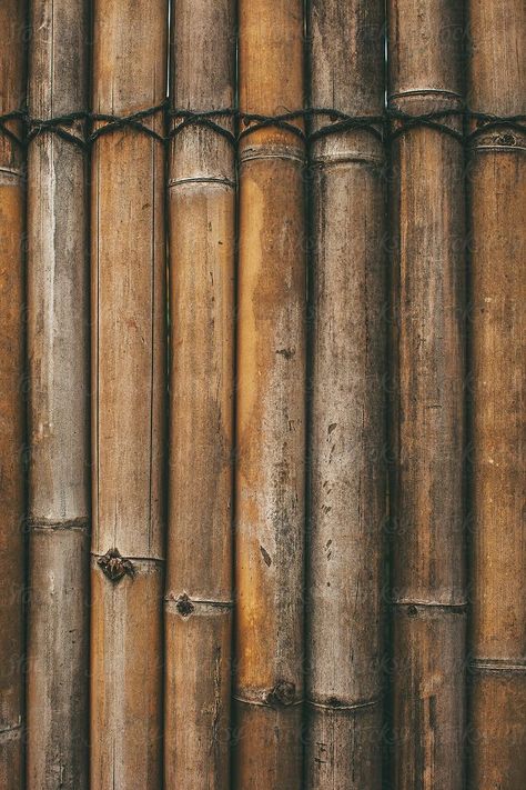 Bamboo Texture Seamless, Bambu Aesthetic, Bamboo Aesthetic, Bamboo Image, Bamboo Background, Bamboo Wallpaper, Arrival Poster, Old Wood Texture, Bamboo Texture