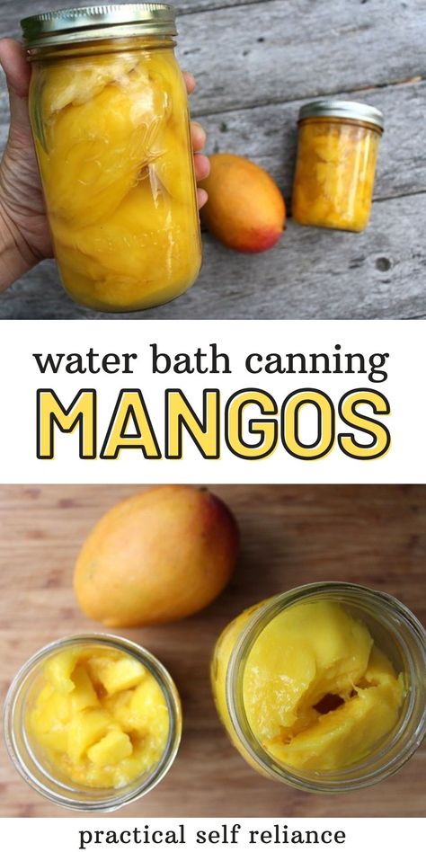 Canning Mango, Fruit In Jars, Canning Fruit Recipes, Pressure Canning Meat, Preserving Fruit, Canning Beans, Recipes Mango, Water Bath Canning Recipes, Mango Recipe