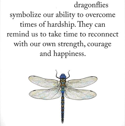 Animal Symbols, Dragonfly Quotes, Dragonfly Symbolism, Dragonfly Illustration, Fly Quotes, Dragonfly Artwork, Animal Symbolism, Symbols And Meanings, Illustration Quotes