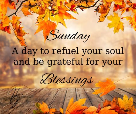 Inspirational text and beautiful picture with fall foliage. Autumn Sunday Blessings, Fall Sunday Blessings, Fall Sunday Quotes, Thankful Sunday Blessings, Sunday Fall Quotes, Sunday Blessings Inspiration Faith, Fall Blessings Quotes, Sunday Greetings Blessing, Sunday Blessings Mornings