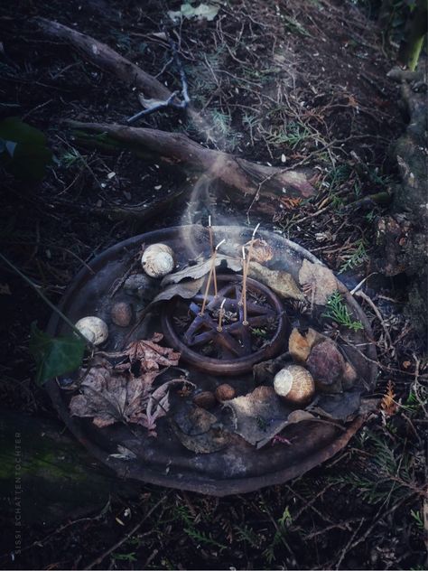 Samhain Aesthetic Pagan, Forest Witch Altar, Samhain Aesthetic, Wiccan Wallpaper, Samhain Altar, Nature Witch, Witch Cottage, Samhain Halloween, Witches Altar