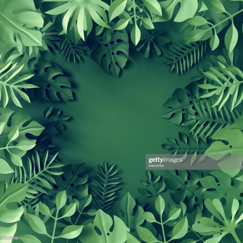 Stock Photo : 3d render, tropical paper leaves, blue scene background, jungle, frame Layered Paper Art, Jungle Decor, Deco Jungle, Cutout Art, Nature Projects, Cut Out Art, Fiesta Tropical, Paper Cutout Art, Scene Background