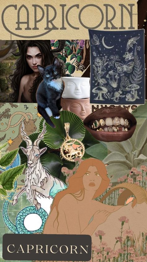 #capricorn #cap #lilseagoat #seagoat #capricornio Capricorn Vision Board, Capricorn Core, Capricorn Saturn, Capricorn Element, Capricorn Personality, 2025 Manifestation, Capricorn Aesthetic, Project 2025, Birthday Woman