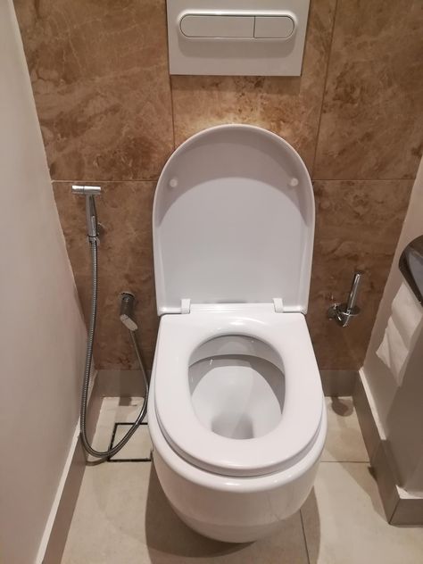 Asian Toilet, Wc Aesthetic, Zombie Fortress, Geberit Toilet, Western Toilet, Best Bathroom Designs, Bathroom Gadgets, Bidet Toilet, Bathroom Design Decor