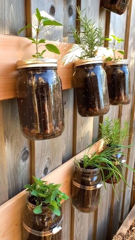 indoorplants_decor on Instagram: 3 easy ways to create a vertical herb garden using @bernardincanning jars. Herbs are an essential ingredient in the kitchen and to be… Hanging Herb Garden, Vertical Garden Indoor, Vertical Vegetable Garden, Herb Garden Design, Vertical Herb Garden, Indoor Vegetable Gardening, Herb Planters, Growing Plants Indoors, Indoor Herb Garden