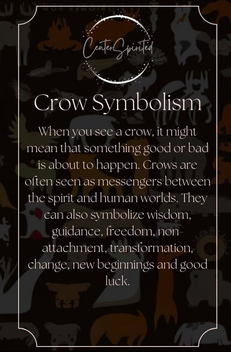 Crows Ravens, Spiritual Meaning, Crows, Ravens, New Beginnings, Pet Birds, Good Luck, Native American, Meant To Be