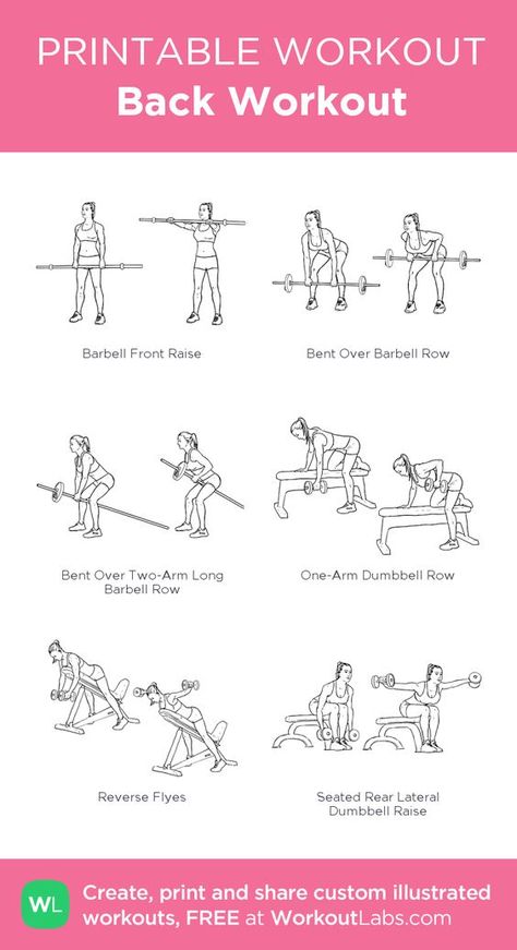 Back And Bicep Workout Gym, Bicep Workout Gym, Workouts Programs, Weekly Gym Workouts, Beginners Gym Workout Plan, Gym For Women, Back And Bicep Workout, Workout Gym Routine, Bicep Workout