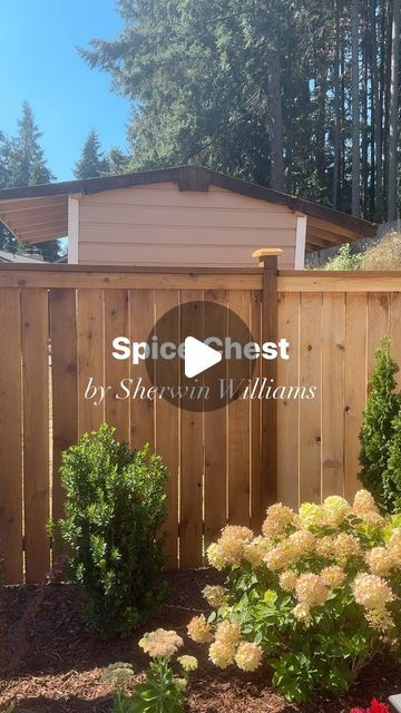 Sally Vlas - Textured Art, DIY & Home Design on Instagram: "Details ⬇️

We stained our fence with a semi-transparent stain - Spice Chest by @sherwinwilliams It’s a soft golden brown and almost more of a clear coat that cancels out the orange tone of cedar and keeps it that pretty light brown!! Obsessed 🤎

We got a super affordable paint sprayer and it was SO worth it. I wouldn’t stain a fence without one - it’s regularly $70ish but is currently on sale as of today (September 14) for under $40! One of my best purchases for DIY projects. Comment PAINT and I’ll send you the link to the sprayer🤞🏼
•
•
•
#diy #diyersofinstagram #home #homeimprovement #project #outdoors #backyard #backyardgarden #fence #paint #painting #homedesign #homemade #homeinspo #inspiration #makeover #transformation #be Wood Fence Stain Color Ideas, Wood Stain Fence, Fence Stain Colors Ideas, Fence Stain Colors, Cedar Fence Stain, Textured Art Diy, Semi Transparent Stain, Fence Stain, Orange Tone