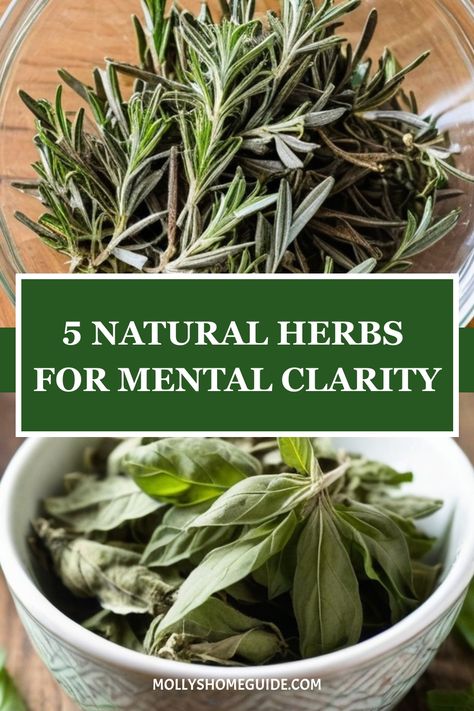 Experience the power of nature with these best herbs for mental clarity. Combat brain fog and boost cognitive function using herbal teas like Bacopa Monnieri. Discover the benefits of Ayurvedic herbs for stress relief and improved memory. Dive into the world of nootropic herbs to enhance focus and energy levels, all while avoiding burnout. Whether you're a novice or an expert, Herbal Academy offers a wealth of knowledge on herbal nootropics and their incredible benefits. Herbs For Focus, Bacopa Benefits, Avoiding Burnout, Study Snacks, Herbal Academy, Best Teas, Prevent Burnout, Bacopa Monnieri, Focus Energy