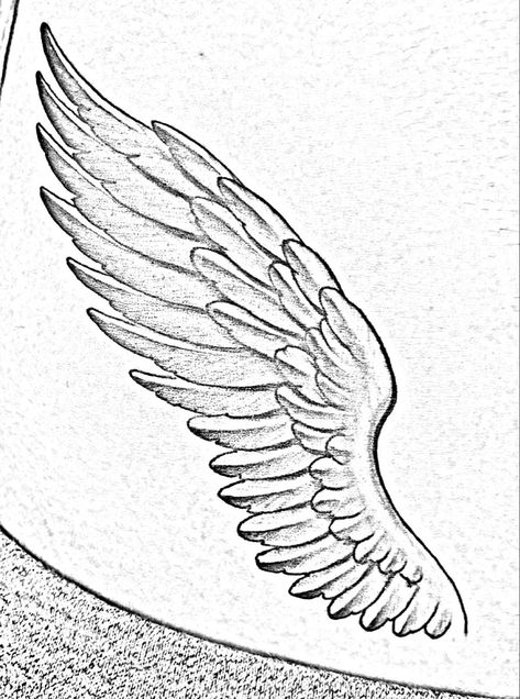 Heart Wings Tattoo Design, Simple Wings Drawing, Angle Wings Draw, Angel Wings Drawing Simple, Angel Wing Drawing Tattoo, Angel Wings Sketch, Angel Wing Drawing, Angel Wings Tattoo Stencil, Wing Outline