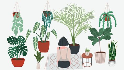 Better Balance, Plant Background, Cute Desktop Wallpaper, Plant Wallpaper, Be Honest With Yourself, Hobby Room, Passion Project, Supplies Organization, All Or Nothing