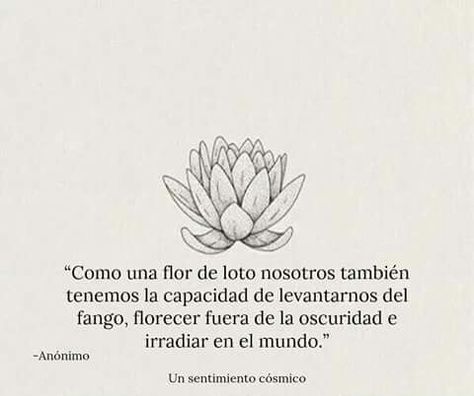 La flor de loto. Tattoo Quotes Ideas, Quotes En Espanol, Quotes Ideas, Lotus Flowers, Motivational Phrases, Simplistic Tattoos, Spanish Quotes, Amazing Quotes, Love Words