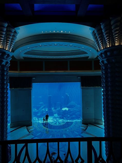 Atlantis the palm Dubai hotel aquarium Atlantis Aquarium, Dubai Atlantis, Atlantis The Palm Dubai, The Palm Dubai, Atlantis The Palm, Hotel Aesthetic, Shark Diving, Dubai Hotel, Summer Adventures