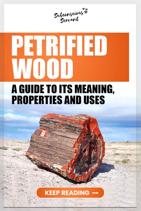 Petrified wood is a type of fossilized tree that has turned to stone over time. This guide will explore the meaning, properties, and uses of petrified wood. Petrified Wood Crystal Meaning, Petrified Wood Meaning, Petrified Wood Jewelry, Rock Collection Display, Ancient Artifacts Prehistoric, Nature Meaning, Fossilized Wood, Palm Wood, Rock Hunting