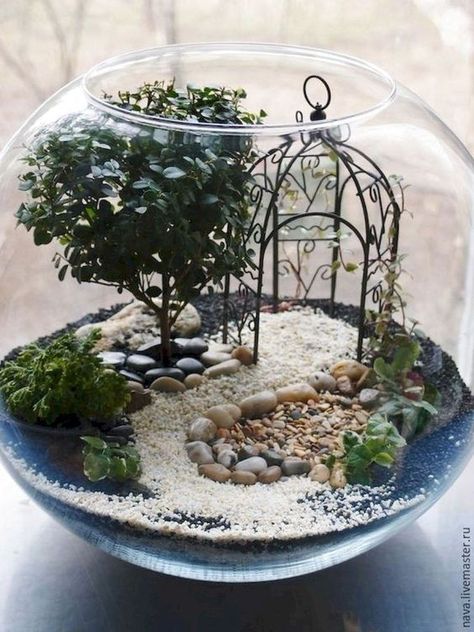 Indoor Fairy Gardens, Beautiful Terrariums, نباتات منزلية, Fairy Garden Designs, Fairy Garden Crafts, Faeries Gardens, Mini Fairy Garden, Garden Mini, Garden Types