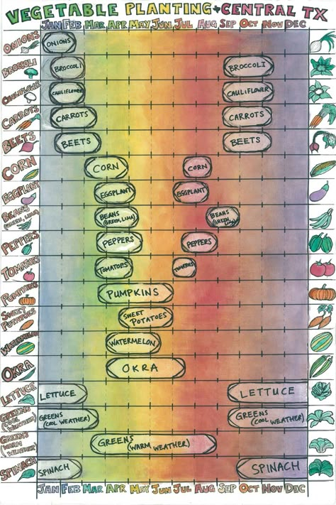 North Texas Gardening Schedule, Garden Ideas Texas, Texas Vegetable Planting Guide, What To Plant In September In Texas, Texas Vegetable Garden Layout, Texas Planting Schedule, Central Texas Backyard Landscaping, Texas Gardening Vegetables, Central Texas Plants