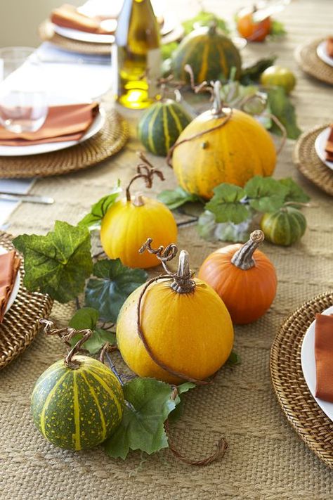 Pumpkin Vine Fall Centerpiece Thanksgiving Center Pieces, Décoration Table Halloween, Table Decor Diy, Thanksgiving Table Ideas, Pumpkin Vine, No Carve Pumpkin Decorating, Modern Fall Decor, Table Halloween, Crafts Table