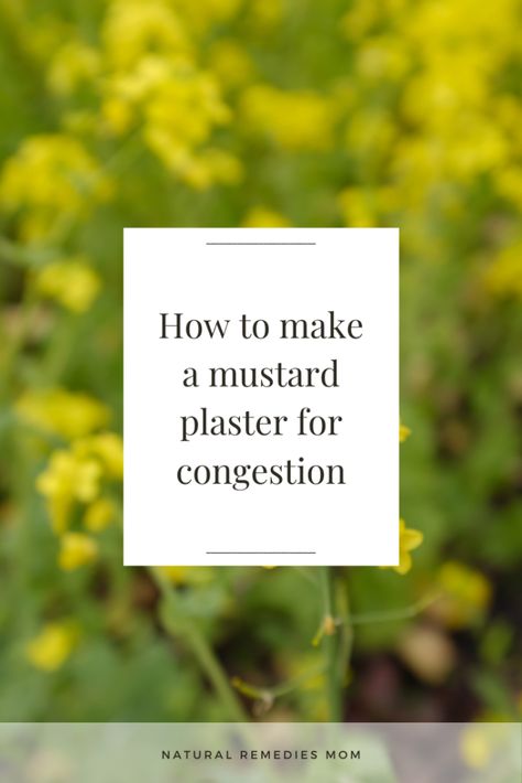 How To Make A Mustard Plaster for Congestion | Natural Remedies Mom Mustard Plaster, Remedy For Sinus Congestion, Home Remedies For Sinus, Sinus Congestion Relief, Chest Cold, Best Cough Remedy, Chronic Cough, Congestion Relief, Chest Congestion