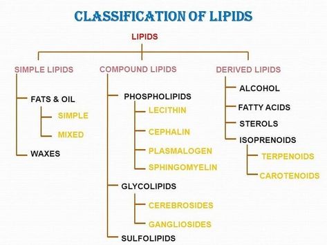 Lipids Biochemistry Notes, Lipids Notes, Lipids Biochemistry, Life Science Experiments, Microbiology Notes, Biochemistry Notes, Organic Chemistry Study, Notes On Instagram, Clinical Chemistry