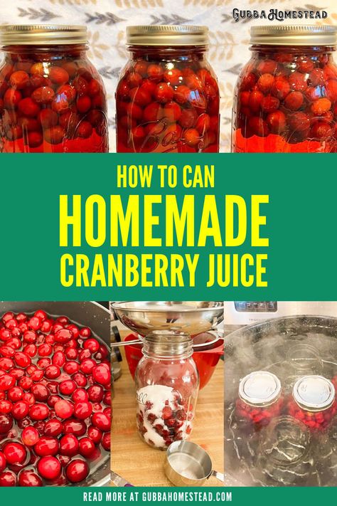 How To Can Homemade Cranberry Juice What Can I Water Bath Can, Home Canned Cranberry Juice, Cranberry Juice Recipes Homemade, Canning Fresh Fruit Juice, Can Cranberry Juice, Cran Apple Juice, Make Cranberry Juice, Cranberry Juice From Fresh Cranberries, How To Can Cranberry Juice