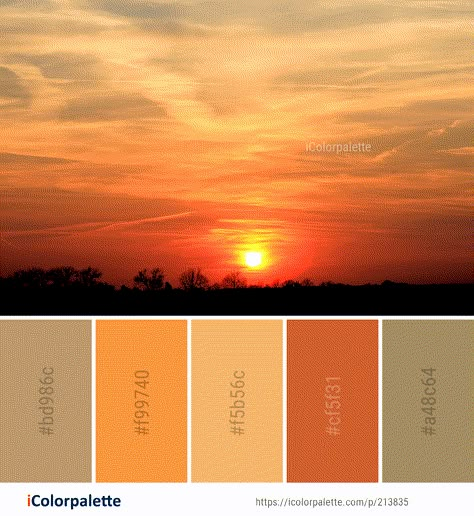 Color Palette ideas from 1479 Sunrise Images | iColorpalette Golden Hour Color Scheme, Sun Colour Palette, Sun And Moon Color Palette, Orange Sunset Color Palette, Sun Set Color Palette, Sunrise Colour Palette, Sun Color Palette, Color Palette Sunrise, Muted Sunset Color Palette