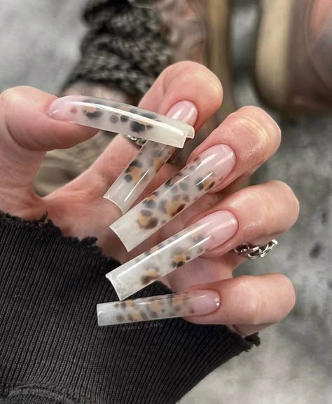 Clear Leopard Nails, Leopard Nails, Long Square Acrylic Nails, Unique Acrylic Nails, Square Acrylic Nails, Manicure Y Pedicure, Fire Nails, Funky Nails, Nails Toes