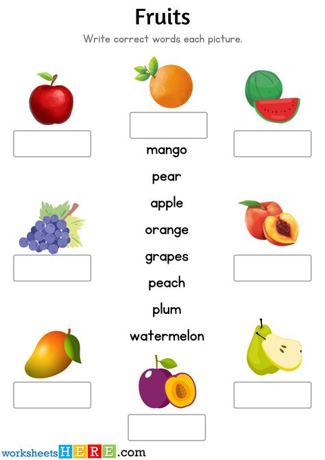 Look at The Picture and Write Correct Fruit Names PDF Worksheet For Kids - WorksheetsHere.com Fruits Name Worksheet, Fruits Name, Crab Apples, Damson Plum, Fruit Names, Bing Cherries, Finger Lime, Navel Oranges, Worksheet For Kids