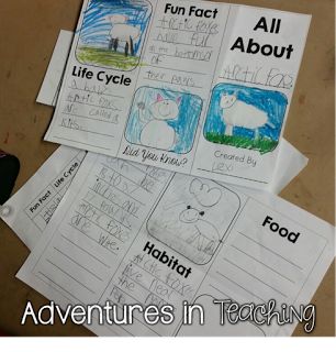 Zoo Animal Research Project, Animal Reports 2nd Grade, 1st Grade Animal Research Project, Animal Needs First Grade, First Grade Animal Research Project, 2nd Grade Animal Research Project, Elementary Research Project Template, Kindergarten Animal Research Project, Ocean Animal Research Project