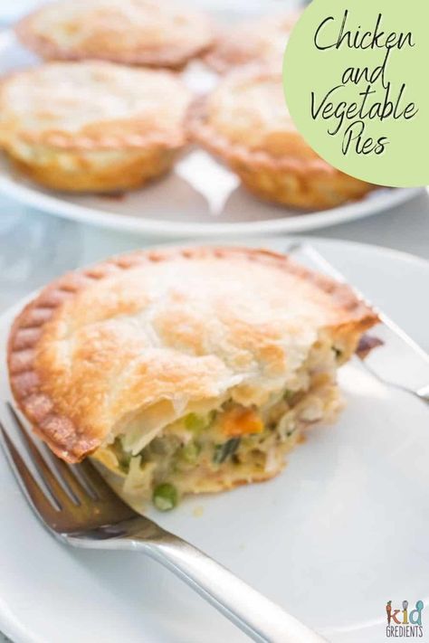 Yummy creamy chicken and vegetable pies the whole family will love! Make in the pie maker or oven and use cooked chicken for a super quick dinner. Chicken And Vegetable Pie, Chicken And Vegetable Pie Recipes, Pie Maker Chicken Pies, Pot Pie In Air Fryer, Frozen Pot Pie, Pie In Air Fryer, Vegetable Pies, Keto Pies, Best Chicken Pot Pie