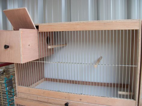 Love Birds Cage Ideas, Canary Cage, Budgie Cage, Cockatiel Cage, Diy Bird Cage, Birds Cage, Bird Cage Design, Parakeet Cage, Cage Bird