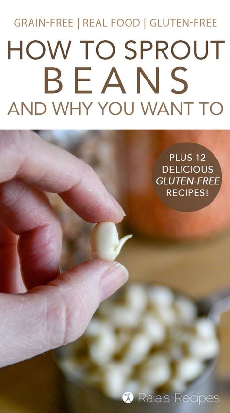 How to Sprout Beans (and why you want to) Plus 12 Delicious Gluten-Free Reicpes! #glutenfree #grainfree #realfood #wapf #traditionalfood #healthy #beans #legumes #lentils How To Sprout Beans, Sprouting Beans, Beans Benefits, Healthy Beans, Beans Recipes, Special Diet, Delicious Gluten Free Recipes, Sprout Recipes, Bean Sprouts