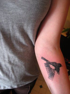 lark bunting in flight Lark Bunting Tattoo, Lark Bunting, Lark Tattoo, Tattoo Project, New Tattoo, In Flight, Bird Species, A Tattoo, Hummingbirds