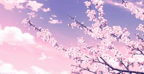 Cherry Blossoms GIF - Cherry Blossoms - Discover & Share GIFs Anime Cherry Blossom, Gif Background, Cherry Blossom Japan, Wallpaper Pink And White, 8bit Art, Anime Gifs, Anime Backgrounds Wallpapers, Aesthetic Desktop Wallpaper, Aesthetic Gif