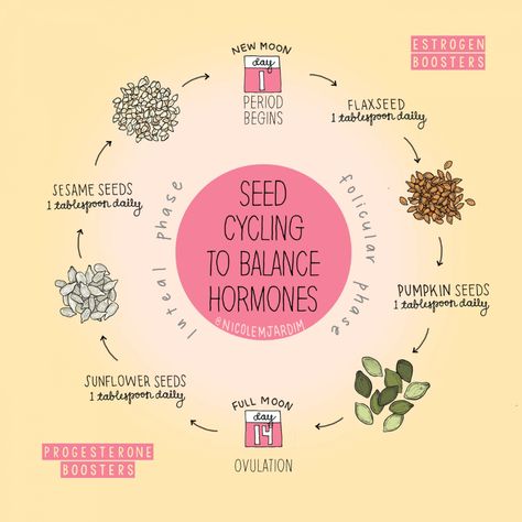 Hormone Diet, Foods To Balance Hormones, Seed Cycling, Healthy Hormones, Balance Hormones, Menstrual Health, Fitness Ideas, Hormonal Acne, Hormone Health