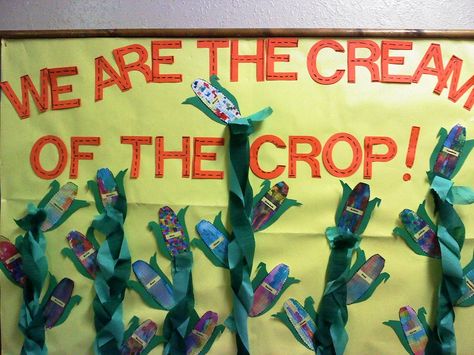 Cream Of The Crop Bulletin Board, Corn Bulletin Board Ideas, Corn Maze Pictures, Infant Room Bulletin Boards, Fall Bulletin Board, Art Bulletin Boards, Infant Room, School Door Decorations, Children Of The Corn