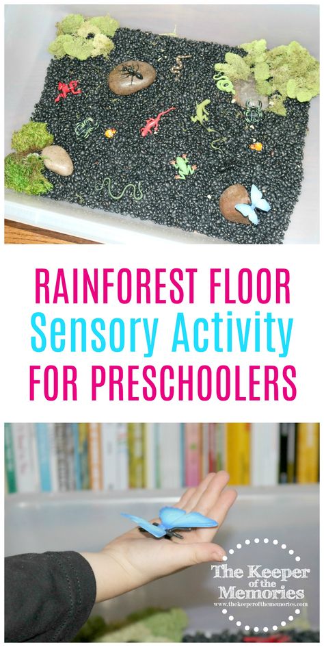 Check out this fun rainforest floor sensory activity for little kids! Lots of different colors and textures for preschoolers to explore! #rainforest #preschool Rainforest Preschool, Rainforest Floor, Sensory Activities For Toddlers, Rainforest Crafts, Preschool Jungle, Rainforest Activities, Sensory Activities For Preschoolers, Toddler Math, Rainforest Theme