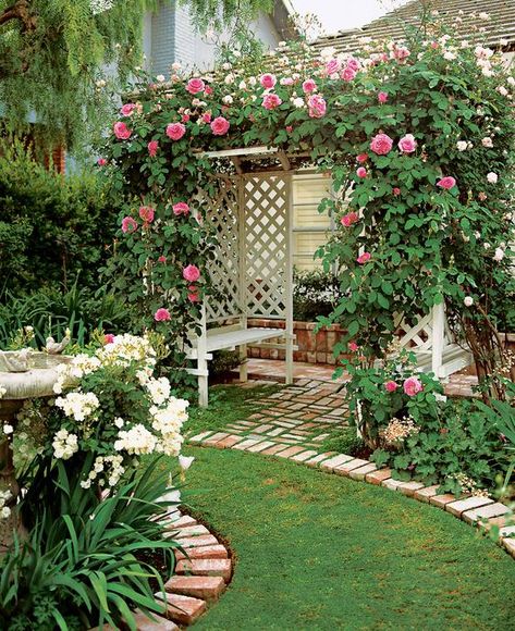 Climbing Roses Trellis, Rose Garden Design, Rose Trellis, Vertical Garden Diy, Garden Vines, Fall Garden Vegetables, Garden Arbor, Garden Wallpaper, Recycled Garden