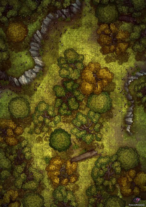 Pathfinder Maps, Forest Map, Dnd World Map, Battle Map, Fantasy World Map, Tabletop Rpg Maps, Dnd Maps, Rpg Maps, Area Map