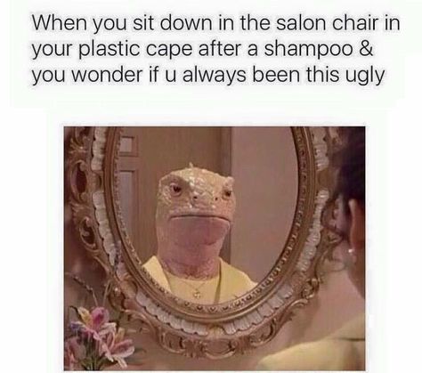 When you sit down in the salon chair Dresser Mirror, E Mc2, Memes Humor, Hair Dresser, E Card, The Salon, Bones Funny, Make Me Smile, I Laughed