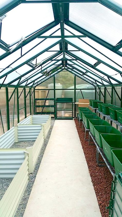 Year Around Greenhouse, Green Houses Ideas Greenhouse Plans, Greenhouse Designs Ideas, How To Greenhouse, Green House Garden Ideas, Inside The Greenhouse, Big Green House Ideas, Green House Layout Ideas, Simple Green House Ideas