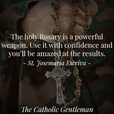 Rosary Quotes, Rosary Novena, Catholic Gentleman, Saint Quotes Catholic, Praying The Rosary, Holy Rosary, Blessed Mother Mary, Saint Quotes, The Rosary