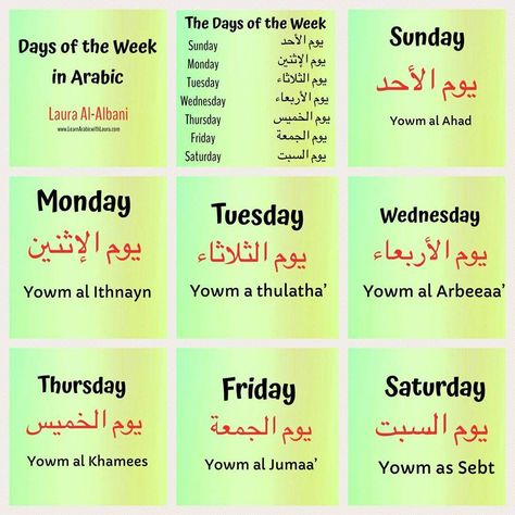 Arabic Basics, Arab Language, Basic Arabic, Arabic Conversation, Modern Standard Arabic, Arabic Grammar, Spoken Arabic, English Language Course, Tajweed Quran