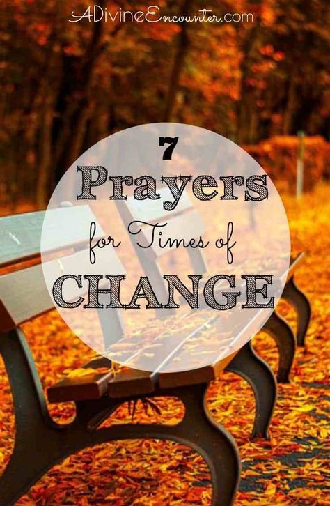 Change is usually not easy to endure, often bringing with it times of uncertainty and even difficulty. Here are 7 biblical prayers for seasons of change. Biblical Prayers, Godly Encouragement, Spiritual Success, Season Of Change, Christian Articles, Prayer Journaling, For Seasons, Bible Resources, Prayer Changes Things