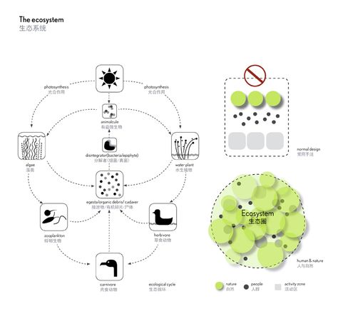 Ecosystem Diagram, Wetland Architecture, Sustainability Diagram, Landscape Circulation Diagram, Density Architecture Diagram, Ecosystem, Still Life Pencil Shading, Sustainable Architecture Concept Diagram, Architecture Sustainability Diagram