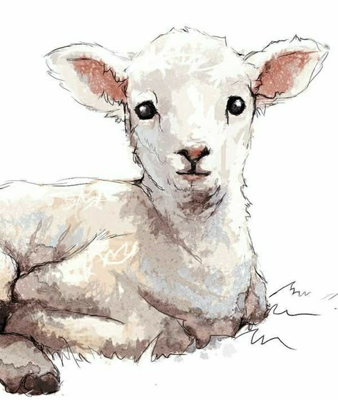 Farm Animal Nursery Art, Lamb Drawing, Sheep Drawing, Easter Paintings, Farm Animal Nursery, Sheep Art, Childrens Wall Art, Diy Watercolor Painting, Abstract Art Wallpaper