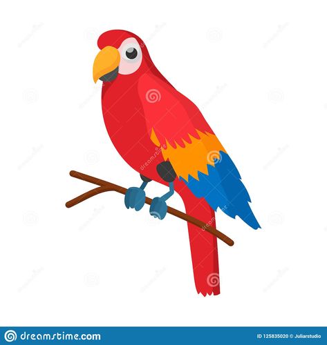 Red Brazil Parrot Icon, Cartoon Style Stock Illustration - Illustration of amazon, peru: 125835020 Parrot Cartoon, Background Illustration, Styled Stock, Cartoon Style, Cartoon Styles, Parrot, Peru, Stock Illustration, Brazil