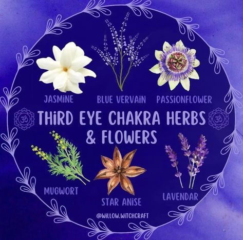 Wild Dagga, Hearth Witch, 3rd Eye Chakra, Chakra Work, Chakra Health, Winter Wellness, Peaceful Mind, Folk Magic, Magical Herbs