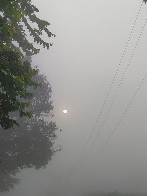 Morning Weather Snapchat, Winter Foggy Morning Snap, Foggy Sky Aesthetic, Weather Pics Sky, Morning Vibes Snap, Winter Morning Snap, Sunrise Photography Mornings, Winter Foggy Morning, Dark Foggy Aesthetic